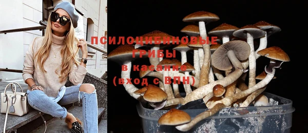 apvp Абинск