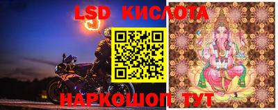 гидропоника Краснокаменск