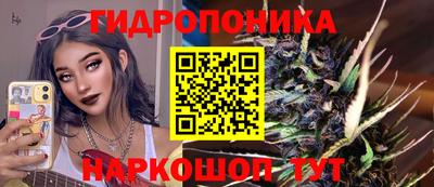 PSILOCYBIN Краснодар