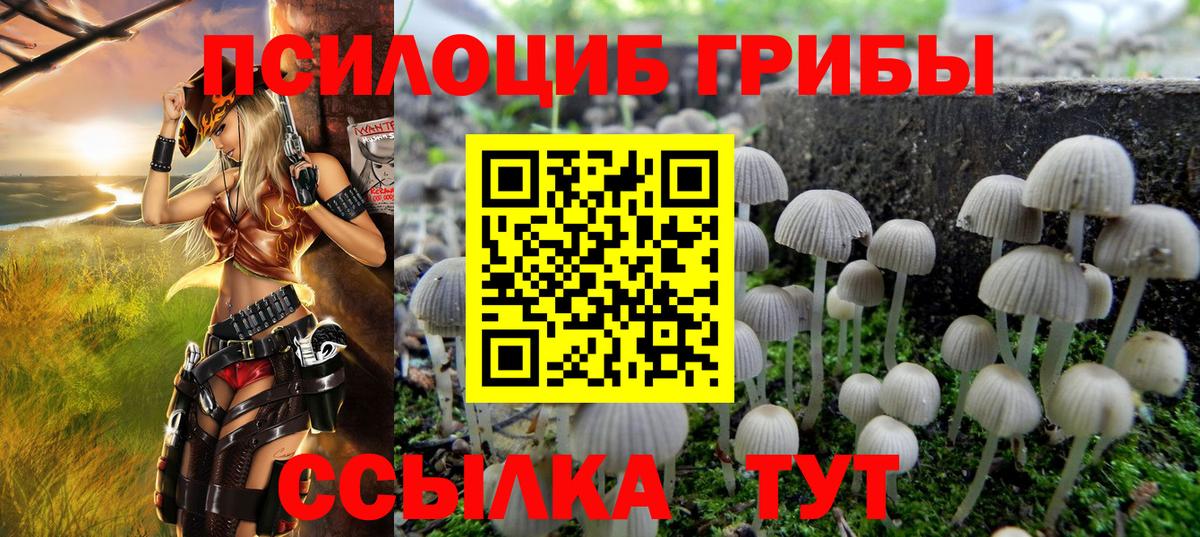 Псилоцибиновые грибы мицелий  Вход с VPN  Челябинск 