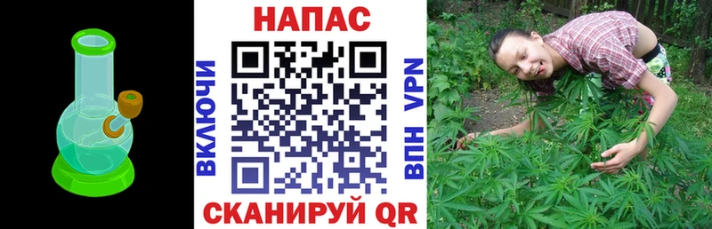 Бошки марихуана сатива  mega как зайти  Челябинск 